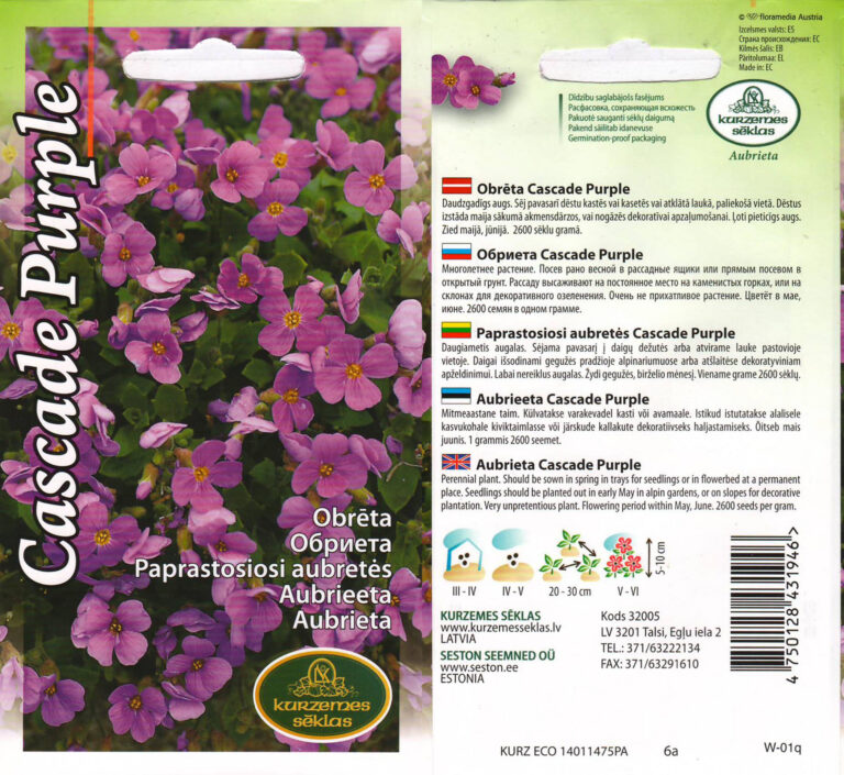 Aubrieeta "Cascade Purple" KURZEMES SĒKLAS 0,1 g