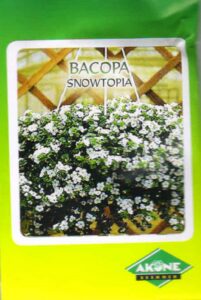 Bakopa (suteera) Snowtopia 10 seemet