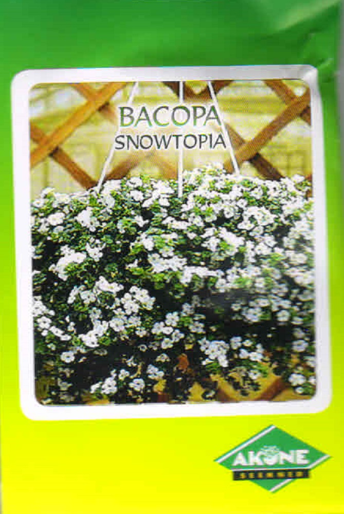 Bakopa (suteera) Snowtopia 10 seemet