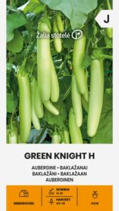 Baklažaan "Green Knight H" Žalia stotele 10 s.