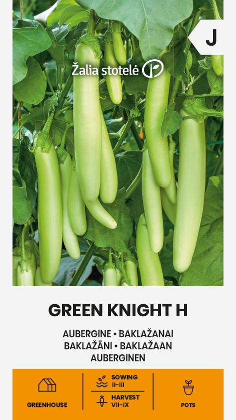 Baklažāns "Green Knight H" Žalia stotele 10 sēklas