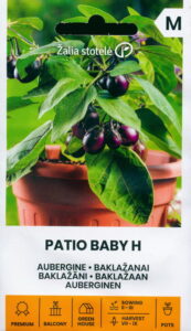 Baklažaan "Patio Baby H" Žalia stotele 10 s.