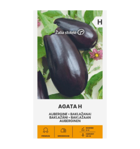 Baklažaan "Agata H" Žalia stotele 0,1 g