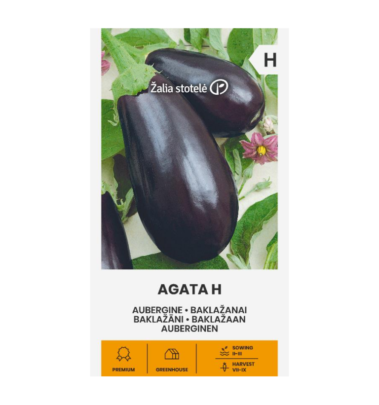 Baklažaan "Agata H" Žalia stotele 0,1 g