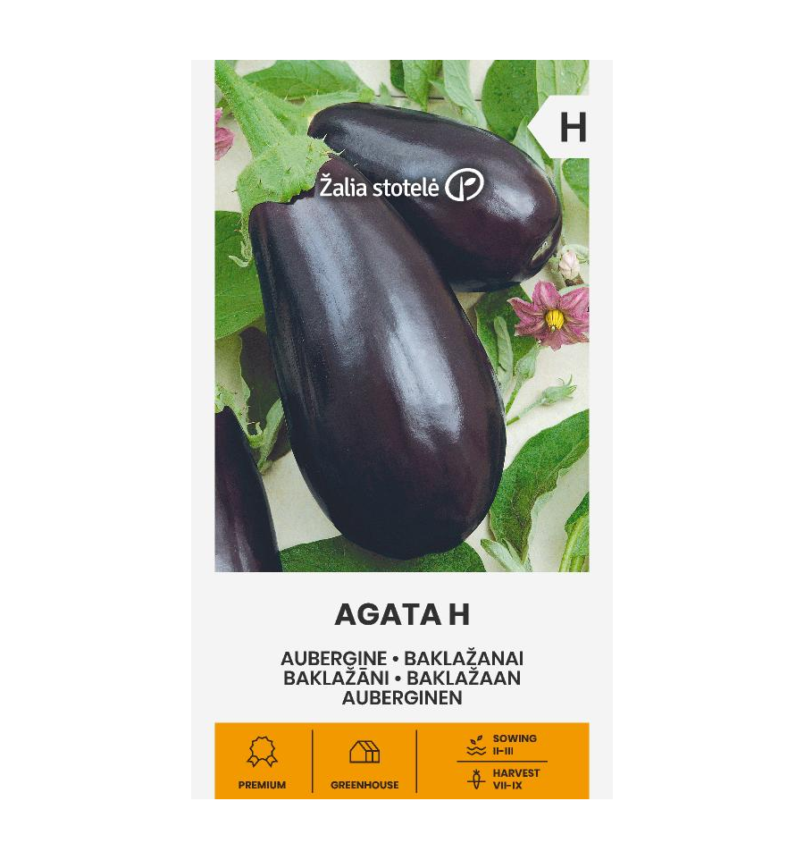 Eggplant "Agata H" Žalia stotele 0.1 g