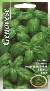Basiilik Genovese KURZEMES SĒKLAS 1 g