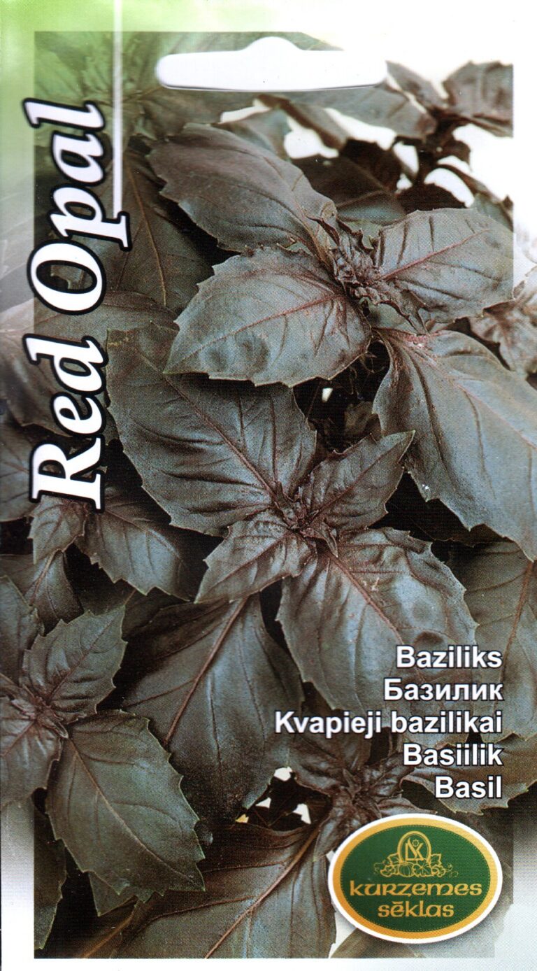Basiilik "Red Opal" KURZEMES SĒKLAS 1 g