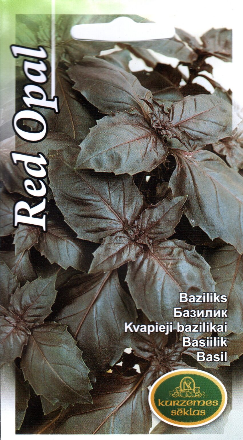 Bazilikas "Red Opal" KURZEMES SĒKLAS 1 g