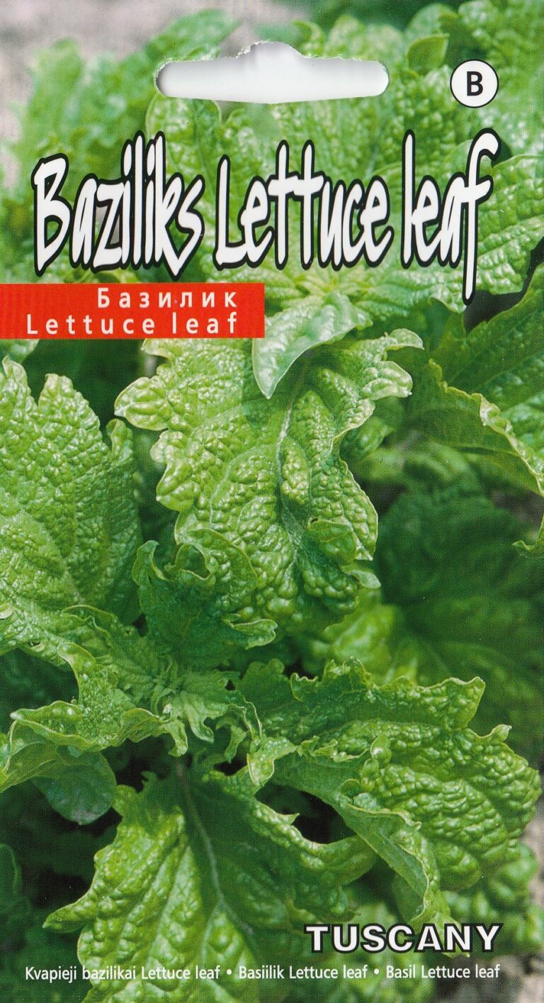 Basiilik Lettuce leaf TUSCANY 1 g