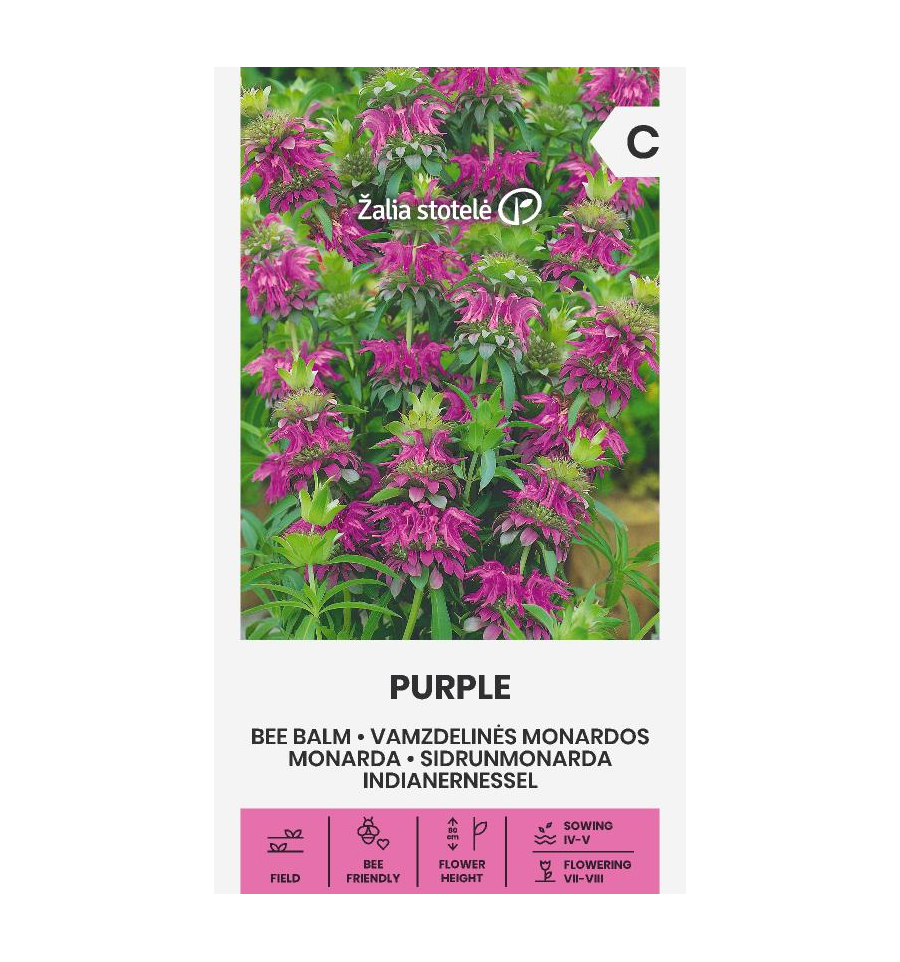 Monarda fistulosa L. Purpurinė
