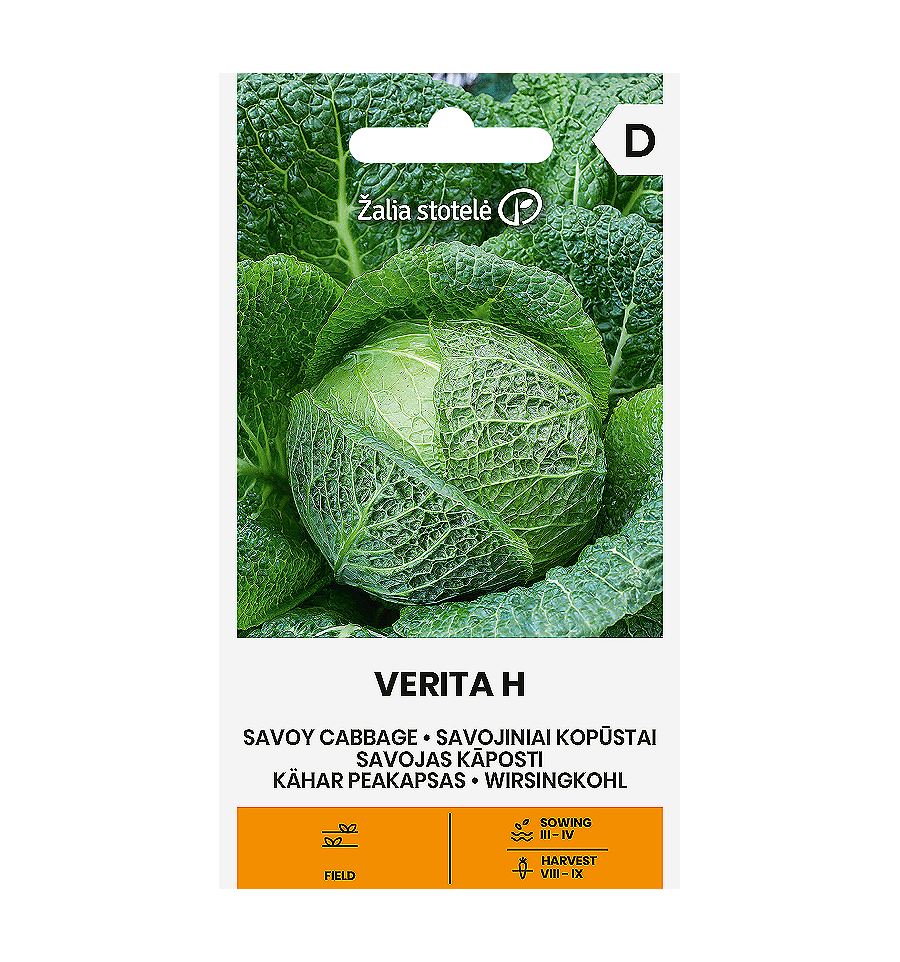 Капуста савойская Brassica oleracea "Verita F1", семена Žalia stotelė 1 г