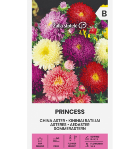 Aedaster "Princess" Žalia stotele 1 g