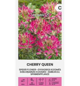 Ämblikulill "Cherry Queen" Žalia stotele 0,4 g