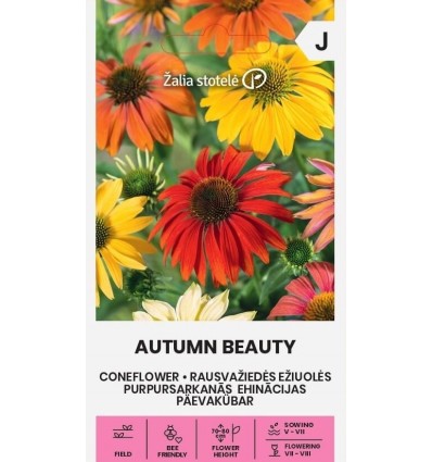 Рудбекия "Autumn Beauty" Žalia stotele 1 г
