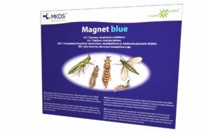 Magnet Blue клеевая ловушка MKDS