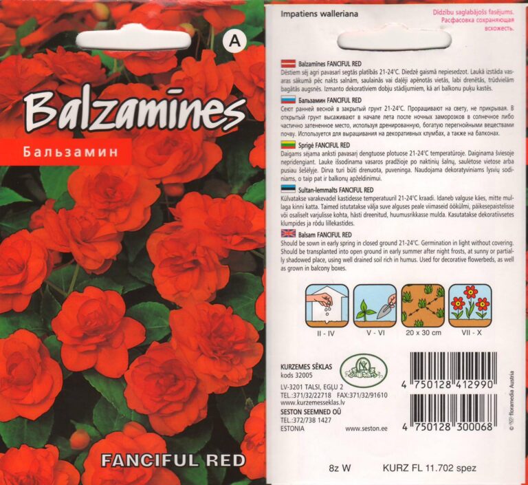 Sultan-lemmalts "Fanciful Red" KURZEMES SĒKLAS 5 s.