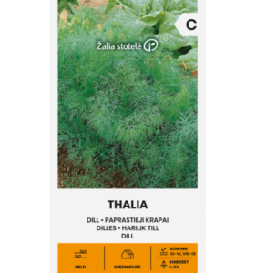 Tilli "Thalia" 8 g