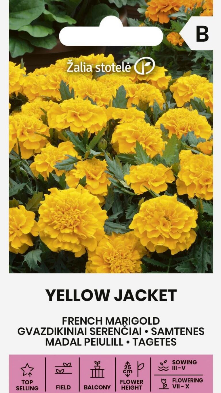 Madal peiulill "Yellow Jacket" Žalia stotele 1 g