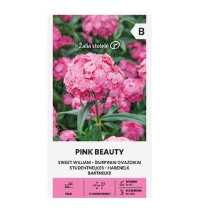 Habenelk "Pink Beauty" Žalia stotele 1 g