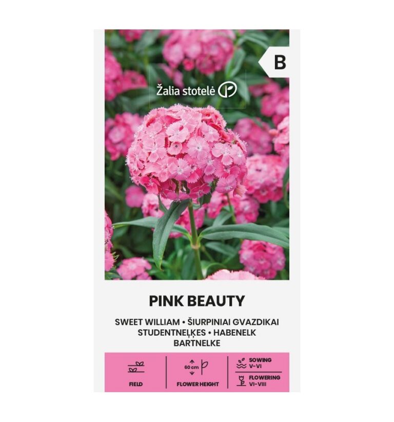 Habenelk "Pink Beauty" Žalia stotele 1 g