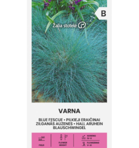 Hall aruhein "Varna" Žalia stotele 0,5 g