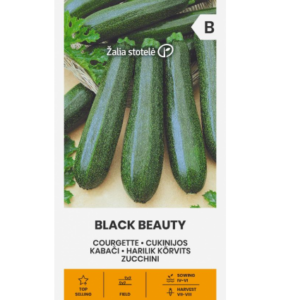 Harilik kõrvits "Black Beauty" Žalia stotele 2 g