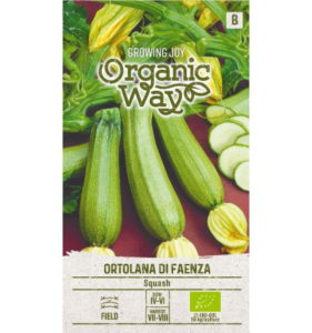 Harilik kõrvits "Ortolana di Faenza" Organic Way 1 g