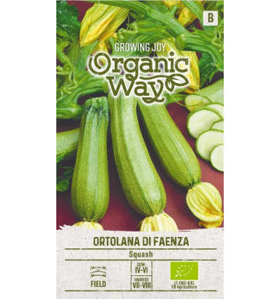 Ķirbis "Ortolana di Faenza" Organic Way 1 g