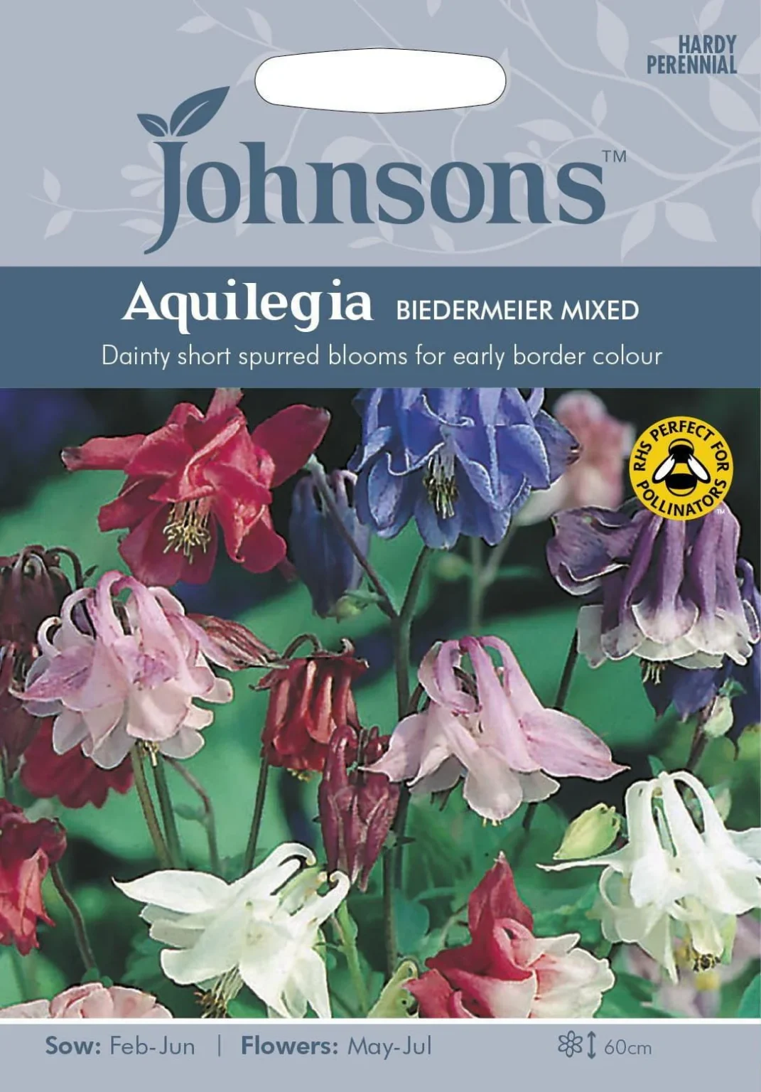 Tarhakylänkello, biedermeier-sekoitus "Aquilegia" Johnsons 100 siementä