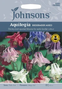 Harilik kurekell, biedermeier segu "Aquilegia" Johnsons 100 s