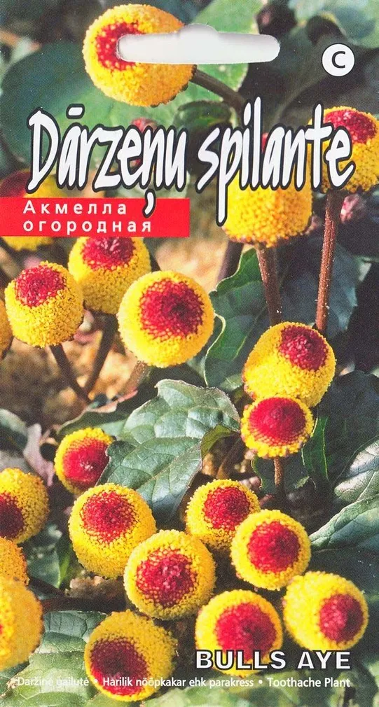 Parakrassi "Bulls Aye" KURZEMES SEKLAS 0,1 g