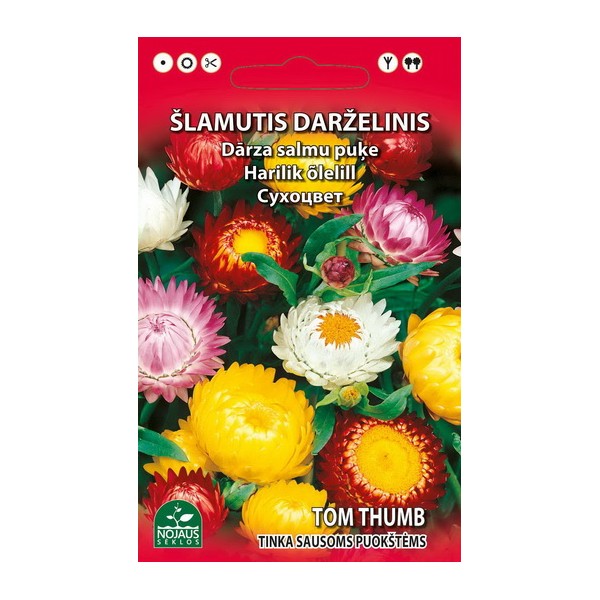 Paprastoji šlamutė "Tom Thumb" NOJAUS SEKLOS 0,3 g