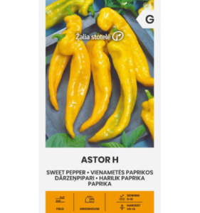 Maguspipar "Astor H" Žalia stotele 0,1 g