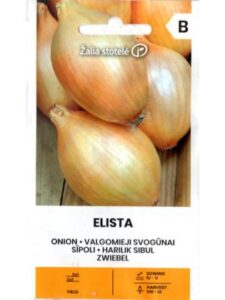 Onion "Elista" Žalia stotele 0.5 g