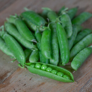 Aedhernes "Kelvedon Wonder" AKONE 30 g