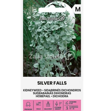 Silver nickel vine "Silver Falls" Žalia stotele 6 seeds