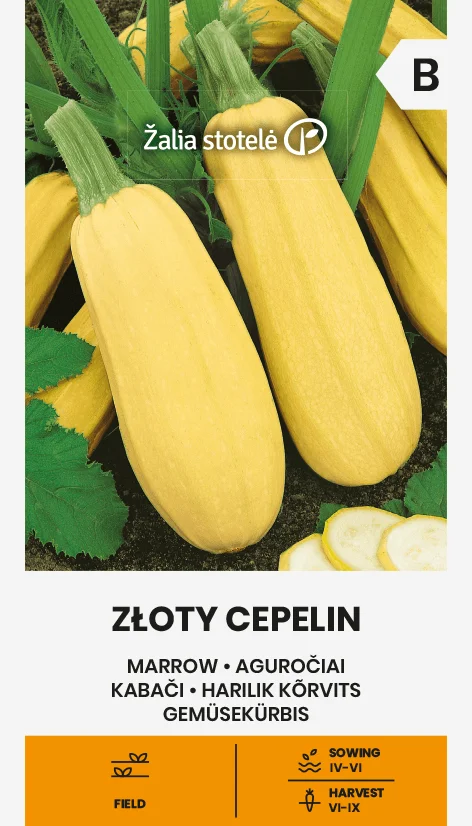 Ķirbis "Zloty Cepelin" Žalia stotele 2 g