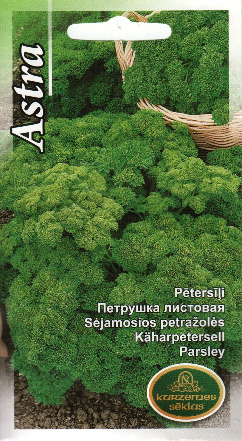 Parsley "Astra" KURZEMES SĒKLAS 2 g