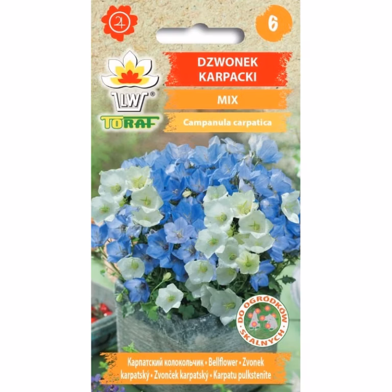 Carpathian bellflower Toraf 0.3 g