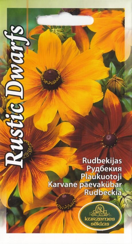 Black-eyed Susan "Rustic Dwarfs" KURZEMES SĒKLAS 0.3 g