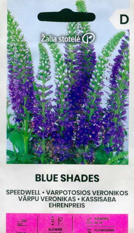 Вероника колосистая "Blue Shades" Žalia stotele 0,2 г