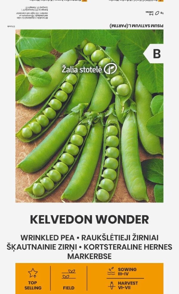 Herne "Kelvedon Wonder" Žalia stotele 20 g