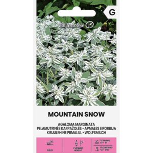 Kirjulehine piimalill "Mountain Snow" Žalia stotele 2 g