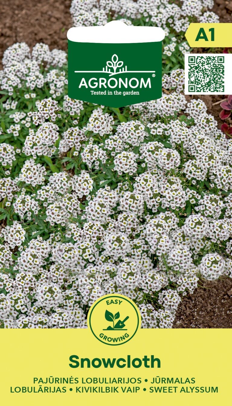 Kivikilbik vaip "Snowcloth" AGRONOM 0,5 g