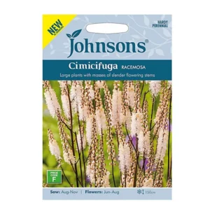 Kobar-lursslill (Cimicifuga) Johnsons 50 s.