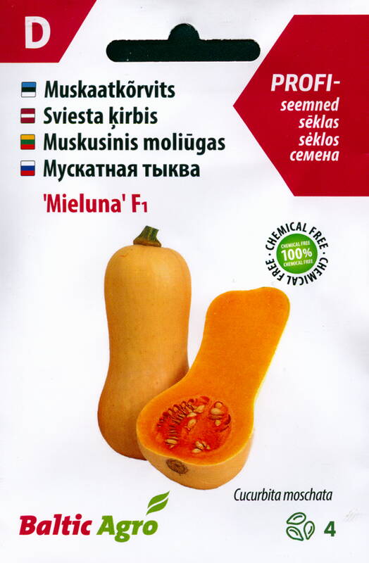 Myskikurpitsa "Mieluna F1" Baltic Agro 4 siementä