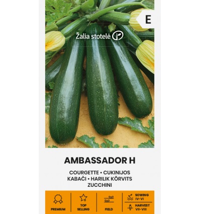 Kurpitsa "Ambassador H" Žalia stotele 1 g