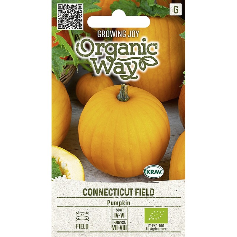 Kurpitsa "Connecticut Field" AGRONOM 1,5 g