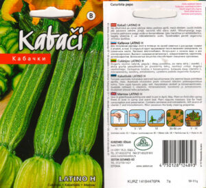Kabatšokk "Latino H" KURZEMES SĒKLAS 5 s.