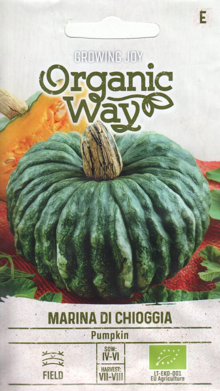 Pumpkin "Marina Di Chioggia" Organic Way 2 g